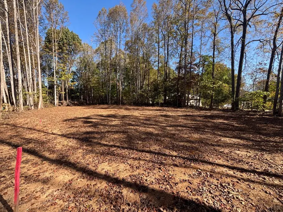 0 Locust Drive, Cascade, VA 24069 - Image #3