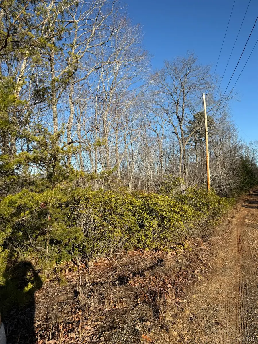 0 Wesley Drive, Madison Heights, VA 24572 - #2