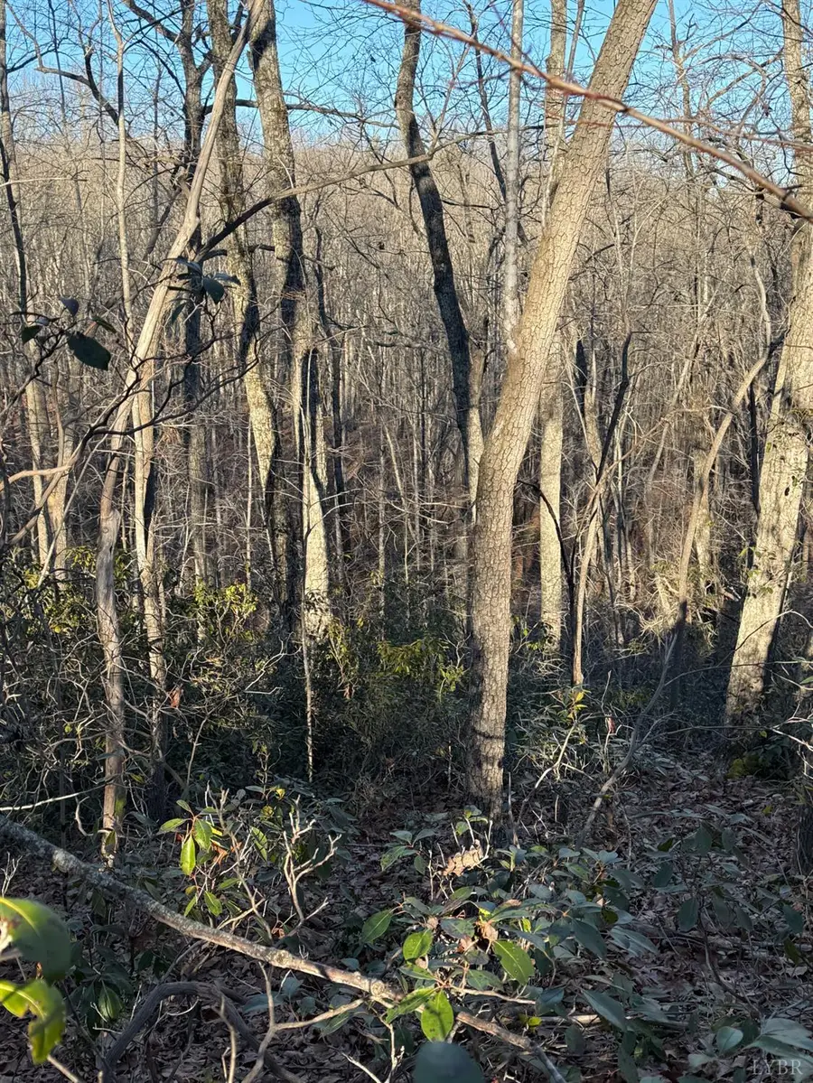 0 Wesley Drive, Madison Heights, VA 24572 - #3