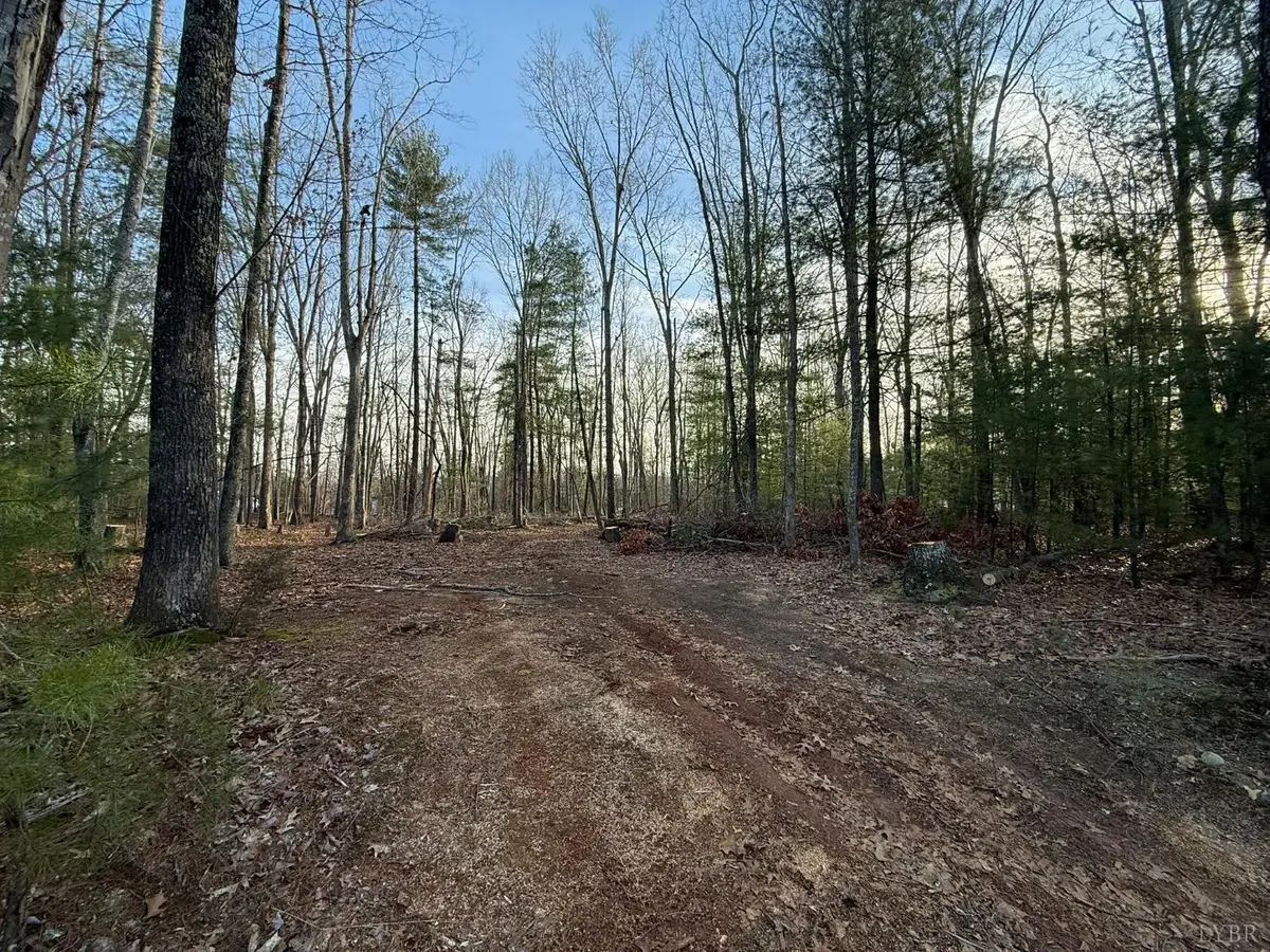 1 Lot Blue Sky Court, Monroe, VA 24574 - Image #1