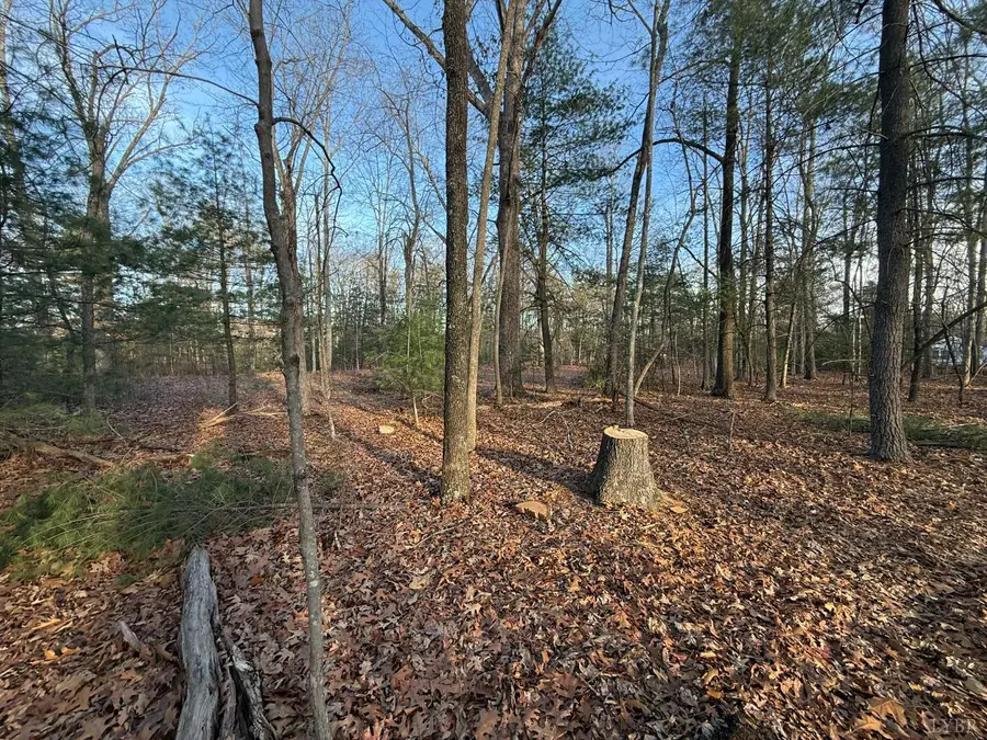 1 Lot Blue Sky Court, Monroe, VA 24574 - Image #3