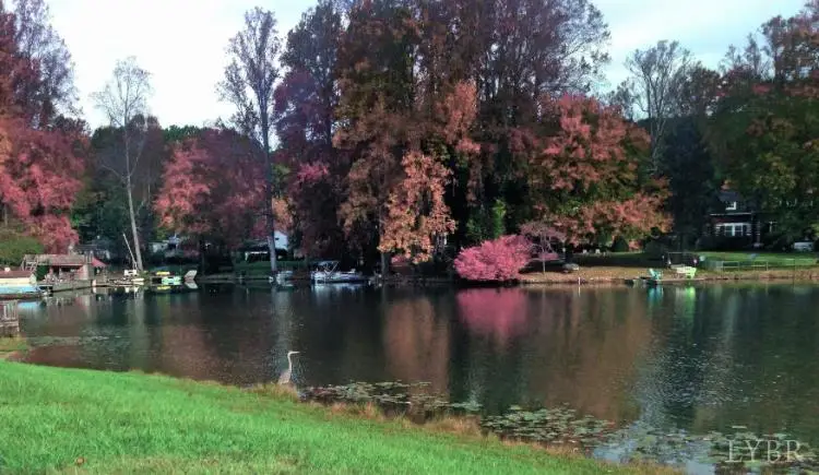 1593 Timberlake Dr, Lynchburg, VA 24502 - Image #2