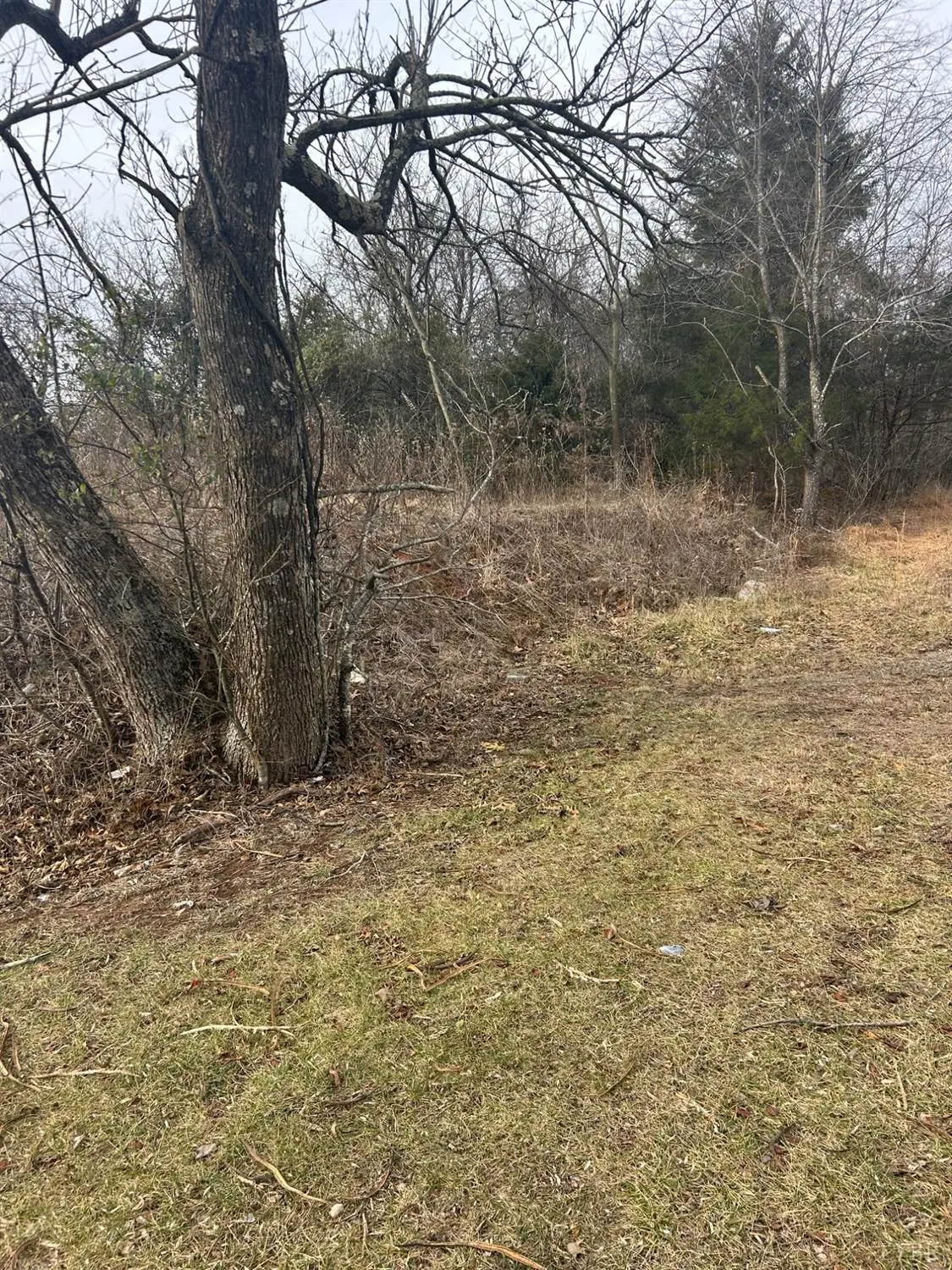 0 Dixie Airport, Madison Heights, VA 24572 - Image #1