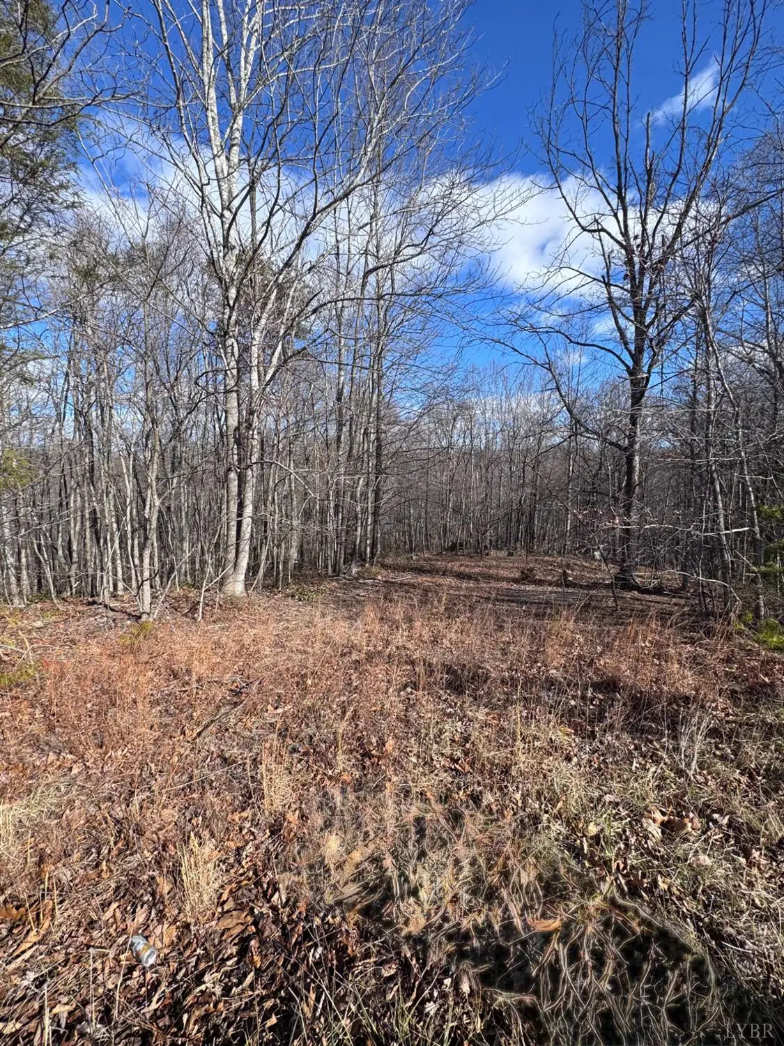 0 Powell School Road, Big Island, VA 24526 - Image #1