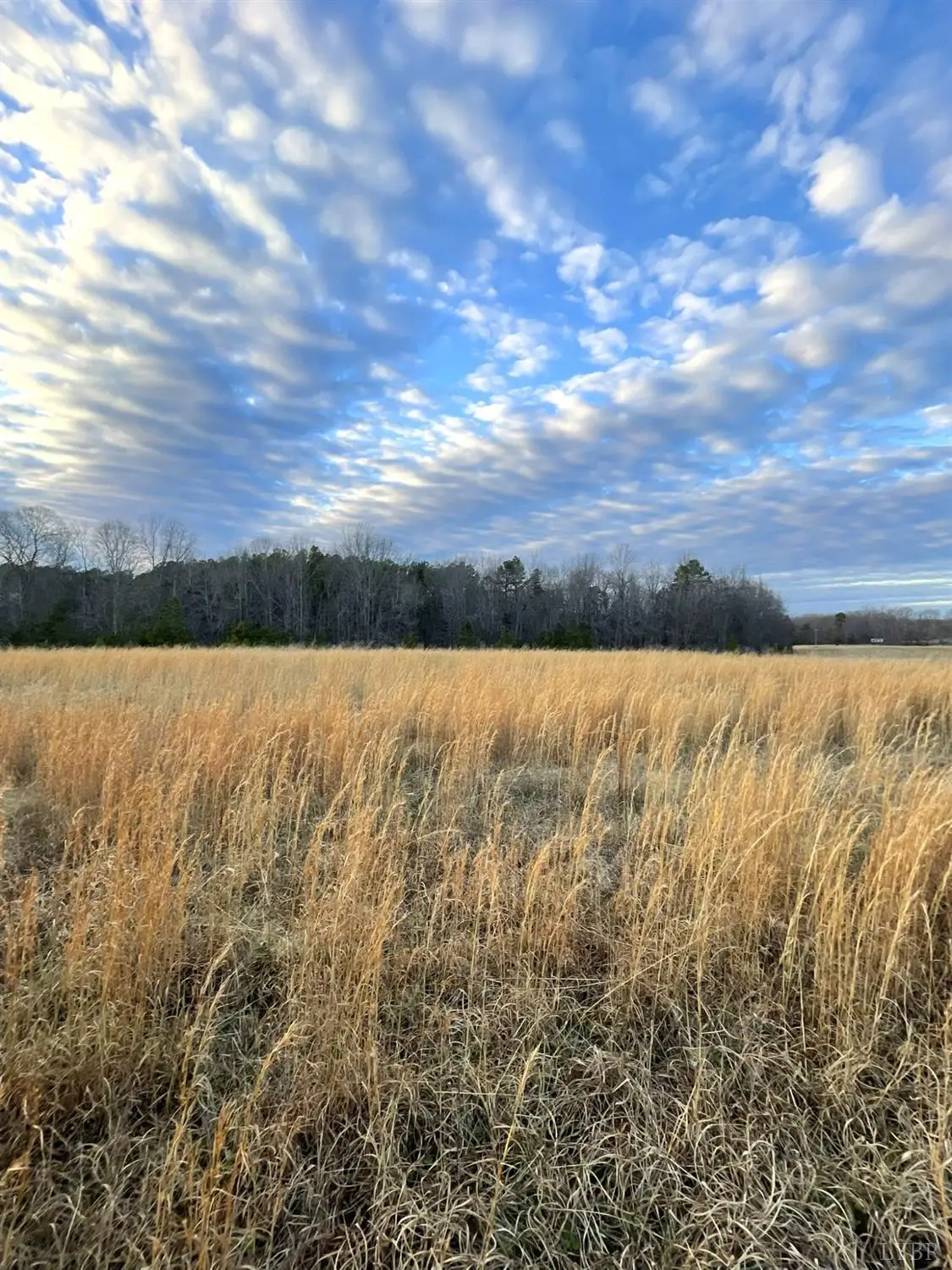 0 Sugar Hill Road, Brookneal, VA 24528 - Image #1