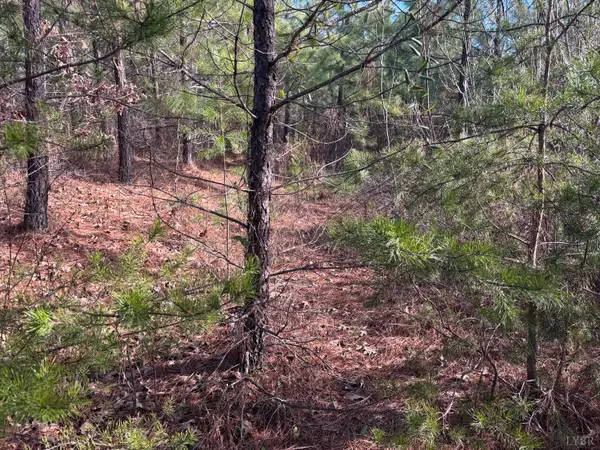 0 Mohawk, Long Island, VA 24569