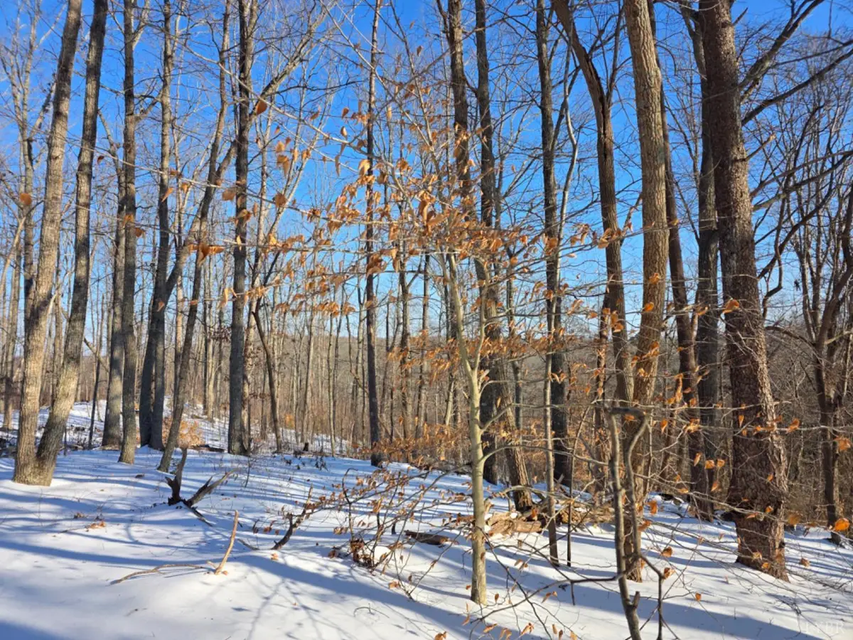 0 Country Club Road, Appomattox, VA 24522 - Image #1