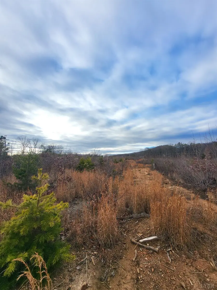 0 Bethany Rd., Rustburg, VA 24588 - Image #3