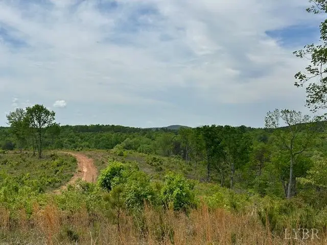 0 Leesville Road, Lynch Station, VA 24571 - #3