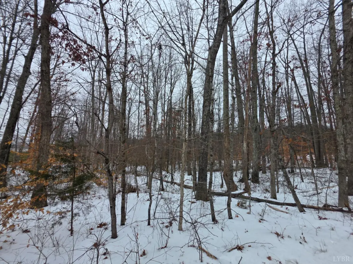 0 Piney Ridge Road, Pamplin, VA 23958 - Image #1