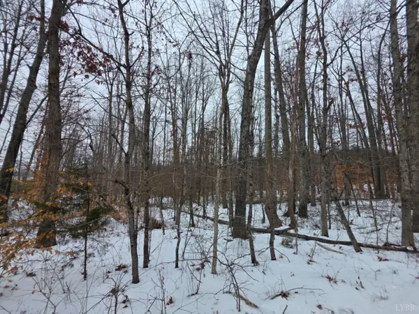 0 Piney Ridge Road, Appomattox, VA 23958