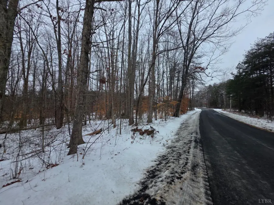 0 Piney Ridge Road, Pamplin, VA 23958 - Image #3