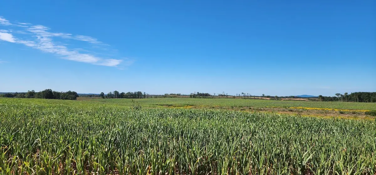 0 Glenmore Road, Scottsville, VA 24590 - #1