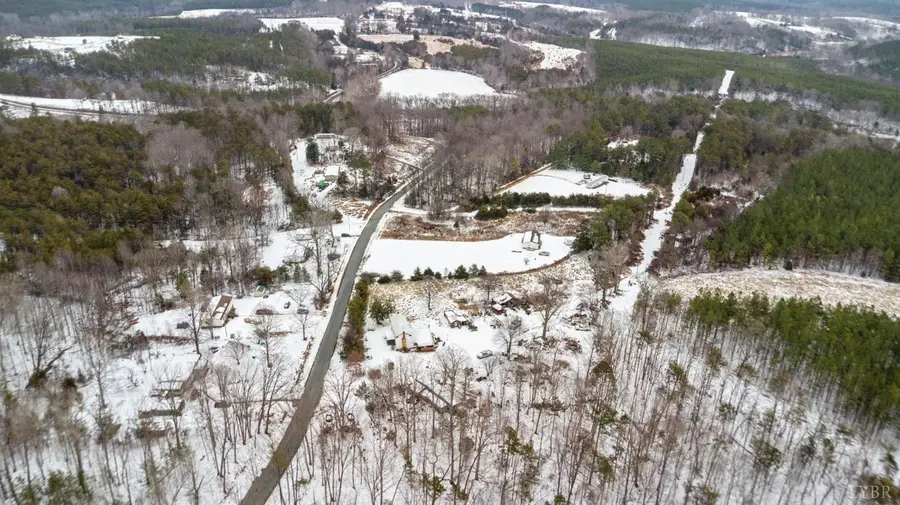 1034 Double Bridges Road, Spout Spring, VA 24593 - #3