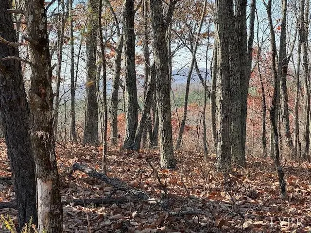 0 Kingswood Lane, Lynchburg, VA 24504 - #3