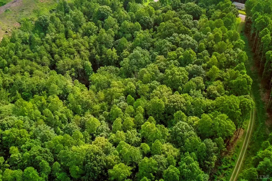 0 550 Mitchell Road, Iriswood, VA 24504 - #2