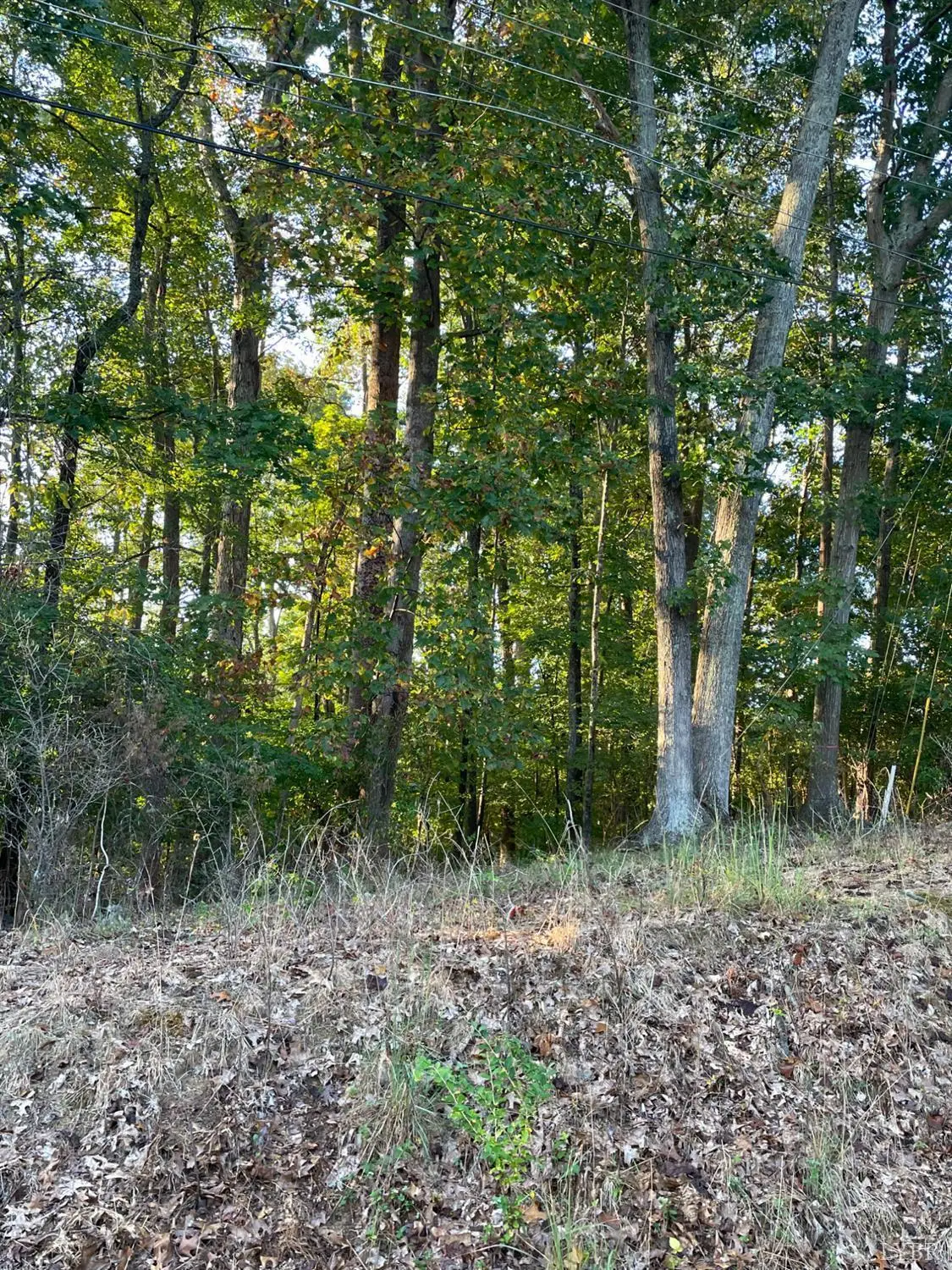 104 Arlington Heights Drive, Lynchburg, VA 24501 - #1