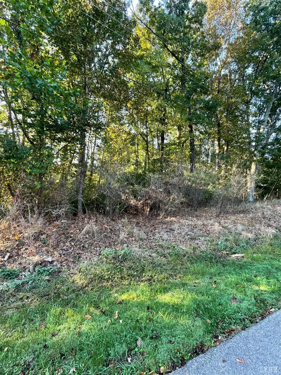 104 Arlington Heights Drive, Lynchburg, VA 24501 - #2