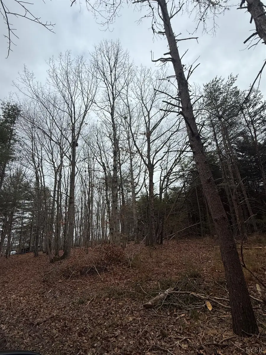 4 Harvest Hills Dr., Concord, VA 24538 - #2