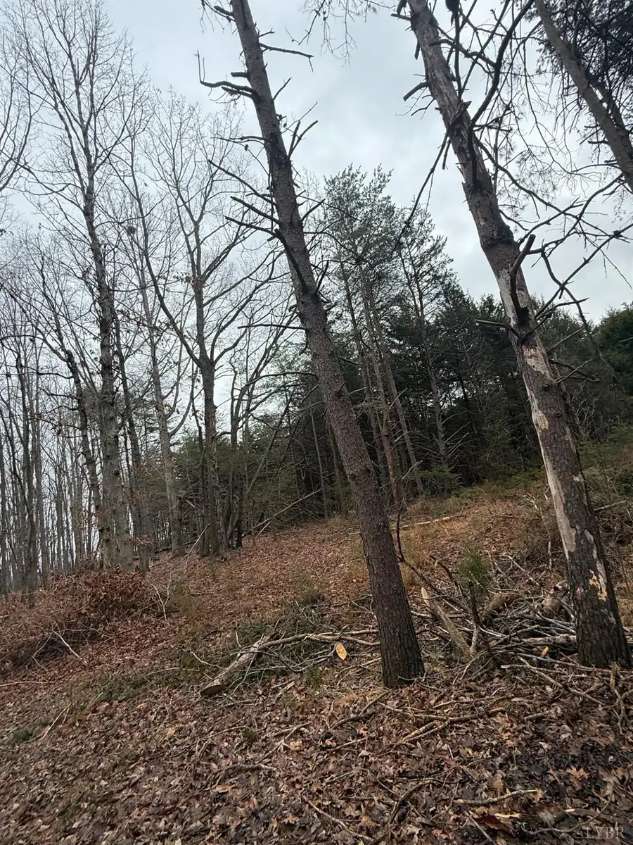 4 Harvest Hills Dr., Concord, VA 24538 - #3