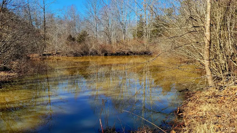 0 Watt Abbitt Road, Appomattox, VA 24522 - #3