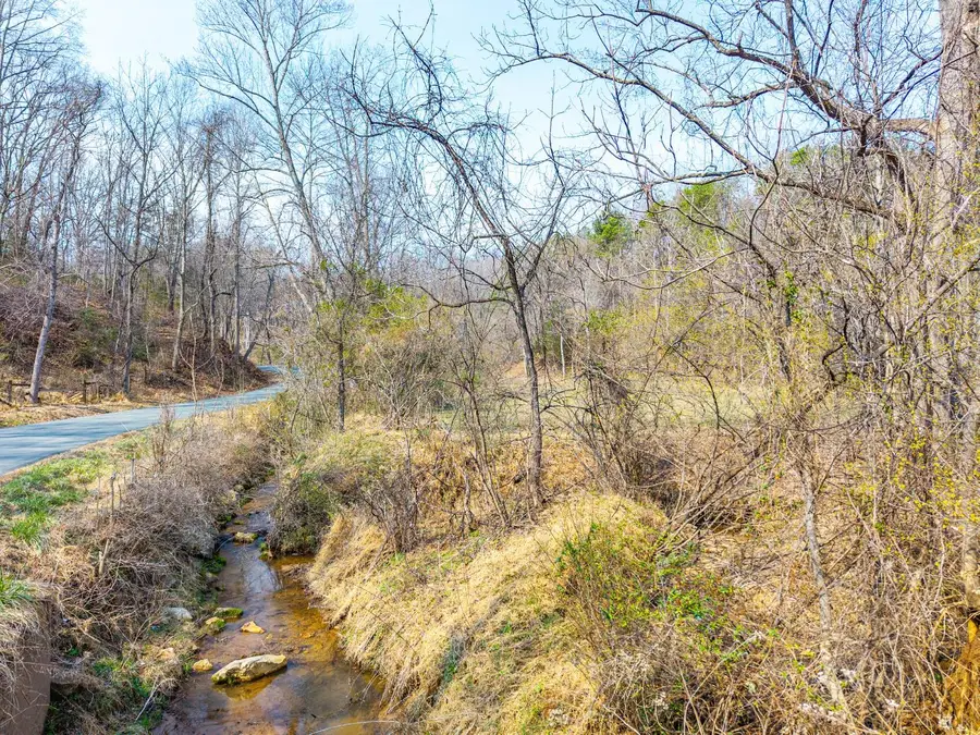 0 Puppy Creek, Amherst, VA 24521 - #3