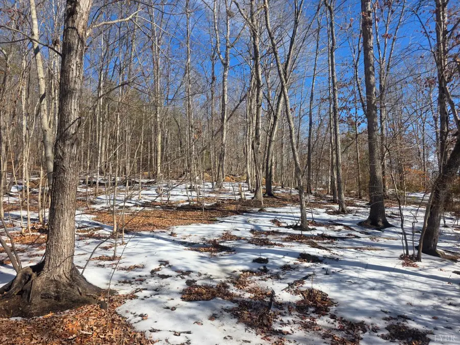 0 Otterwood Court, Evington, VA 24550 - #2