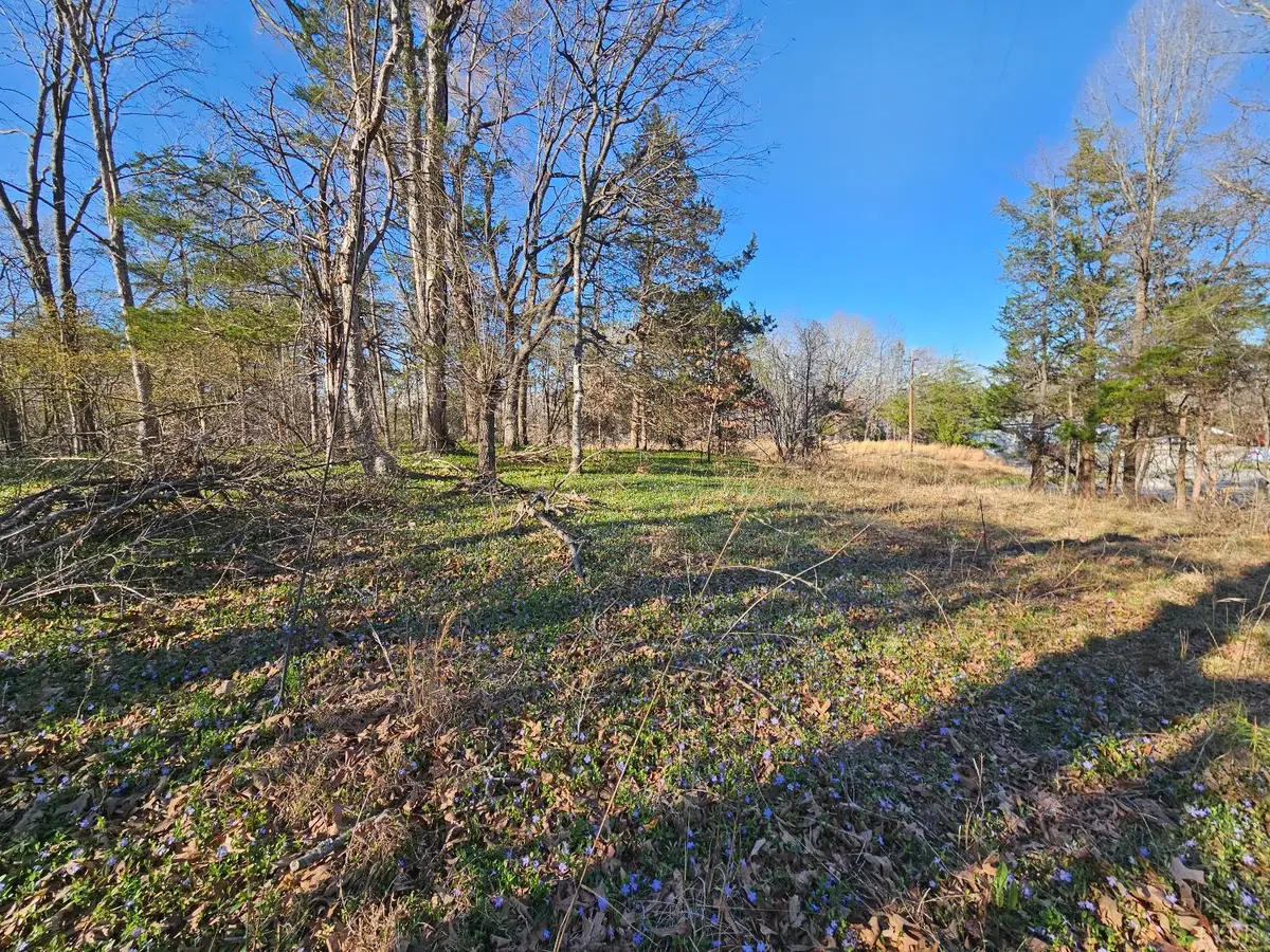 0 Layne Street, Farmville, VA 23901 - #1