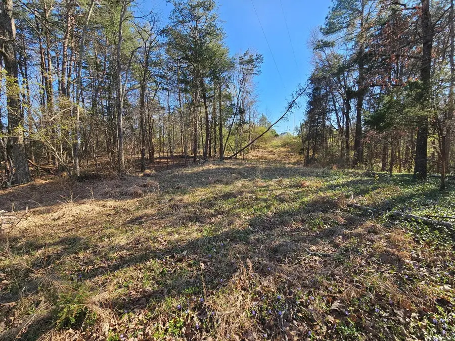 0 Layne Street, Farmville, VA 23901 - #2