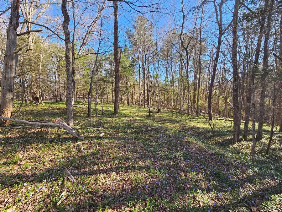 0 Layne Street, Farmville, VA 23901 - #3