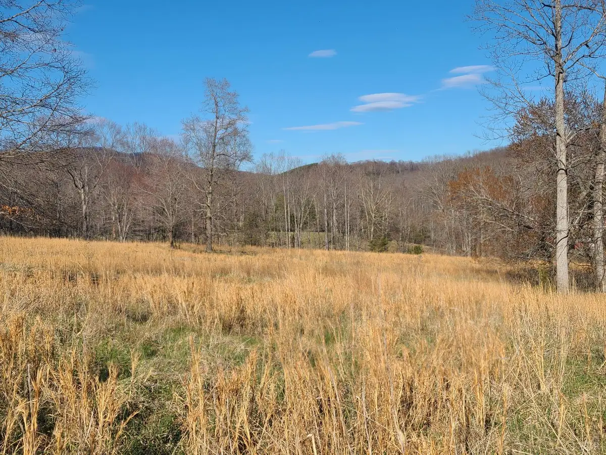 0 Cifax Rd, Goode, VA 24556 - #1