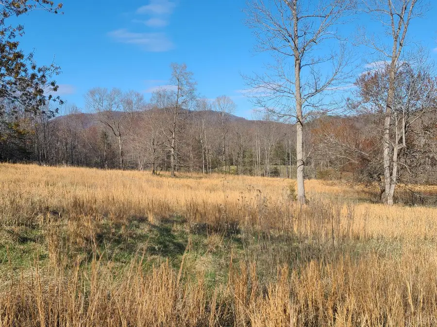 0 Cifax Road, Goode, VA 24556 - #2