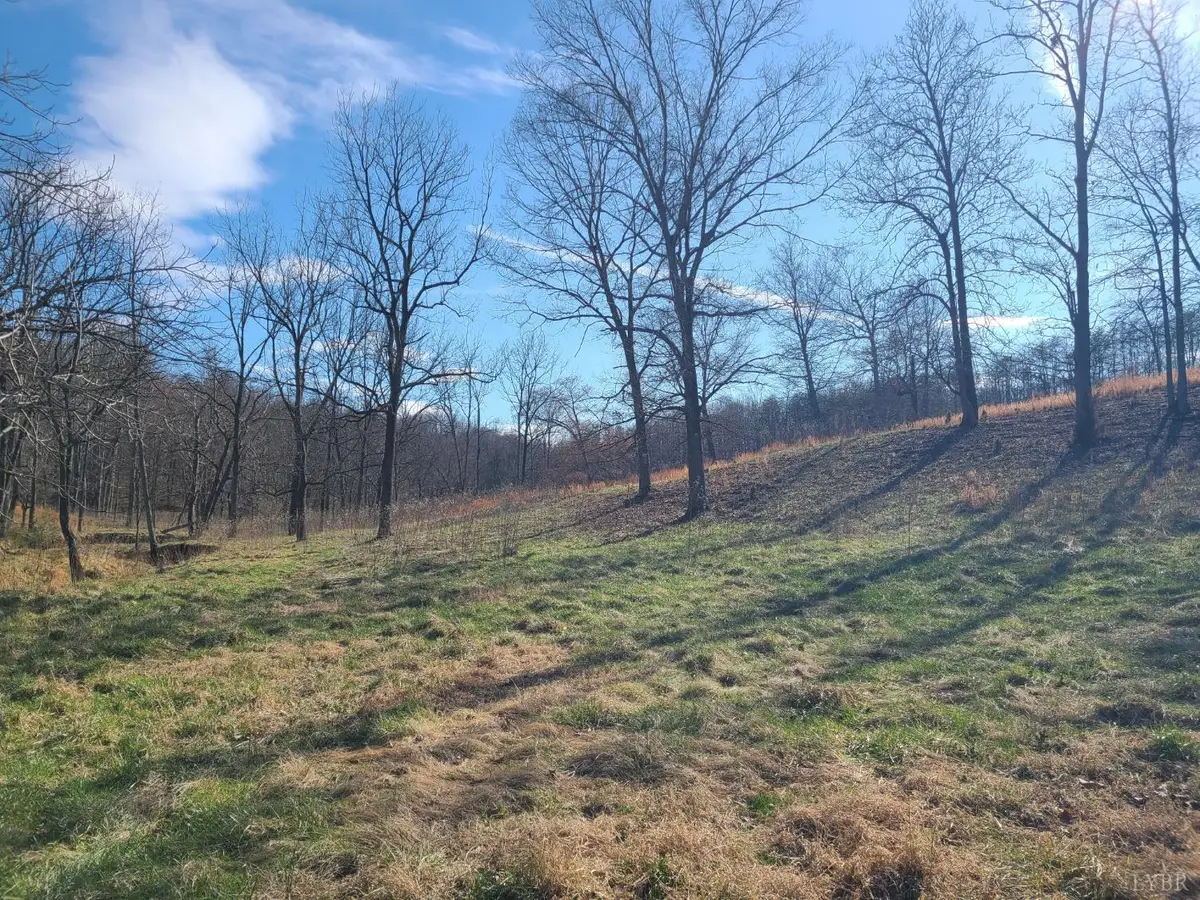 0 Cifax Road, Goode, VA 24556 - #1