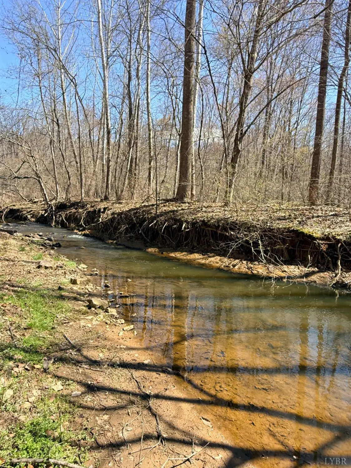 0 Country Club Road, Appomattox, VA 24522 - #1