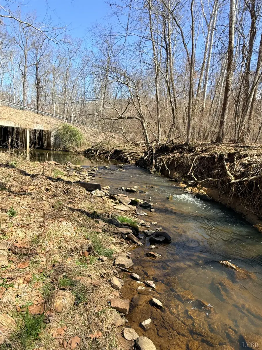 0 Country Club Road, Appomattox, VA 24522 - #2