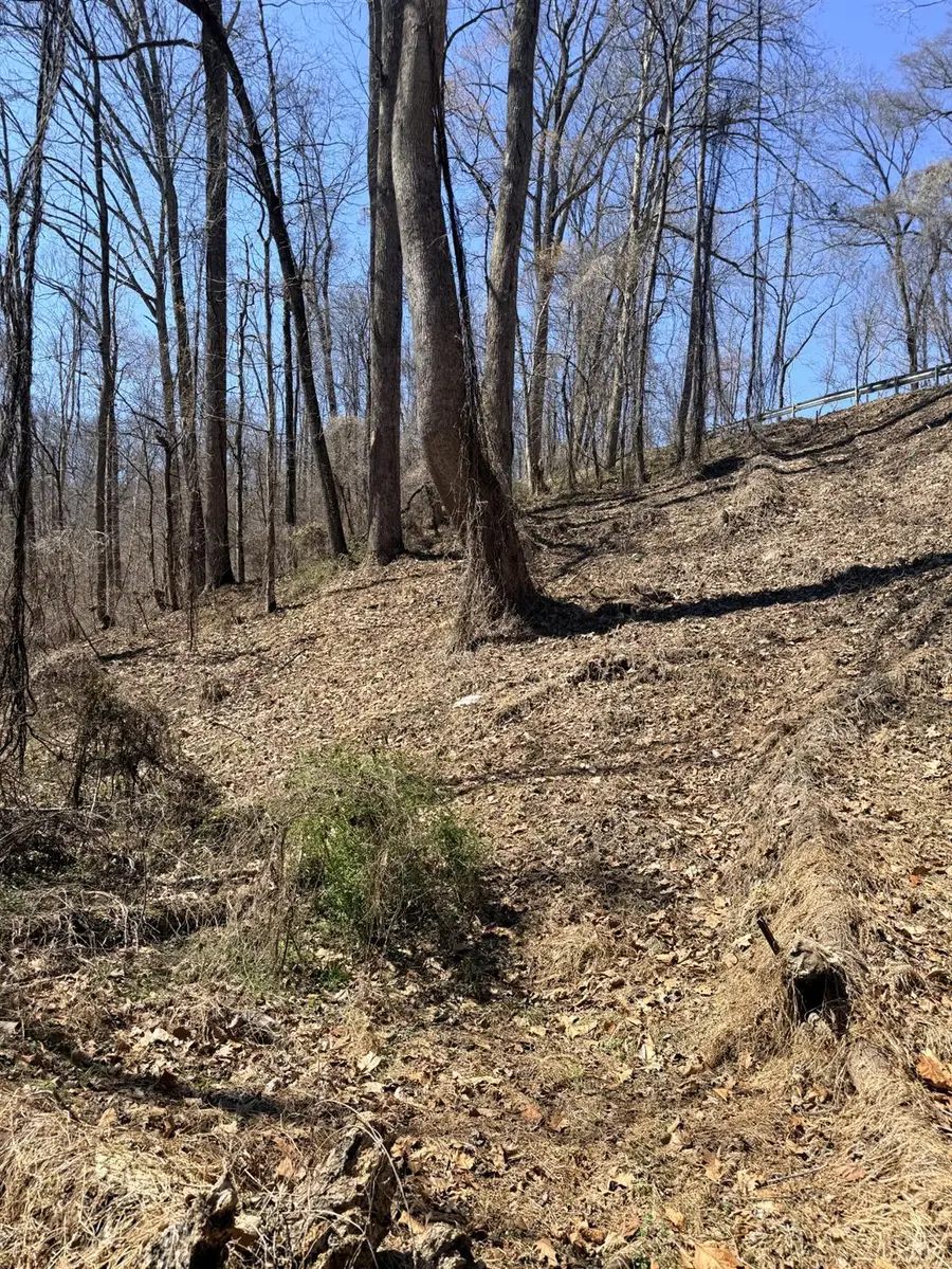 0 Country Club Road, Appomattox, VA 24522 - #3