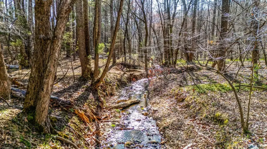 624 Woodline Drive, Concord, VA 24538 - #3