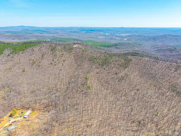 0 Larkin Mountain, Amherst, VA 24521