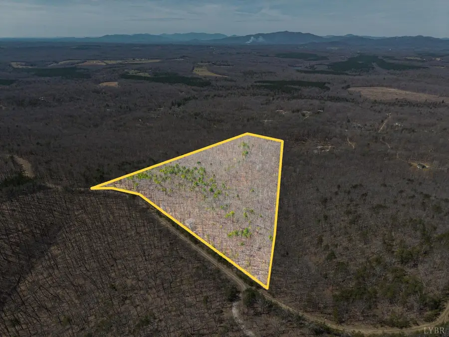 0 Larkin Mountain, Amherst, VA 24521 - #3