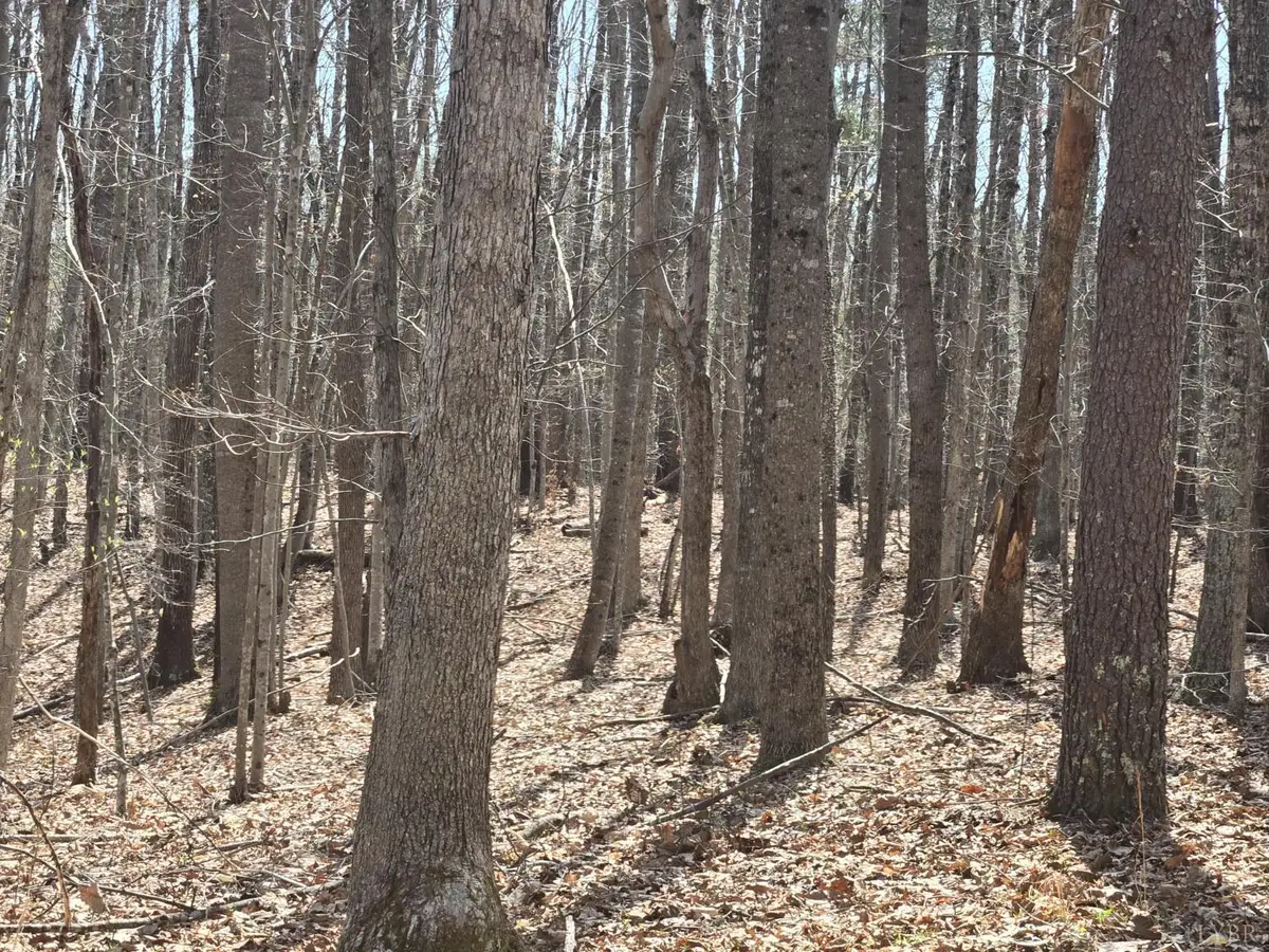 0 Equestrian Trail Road, New Canton, VA 23123 - #1