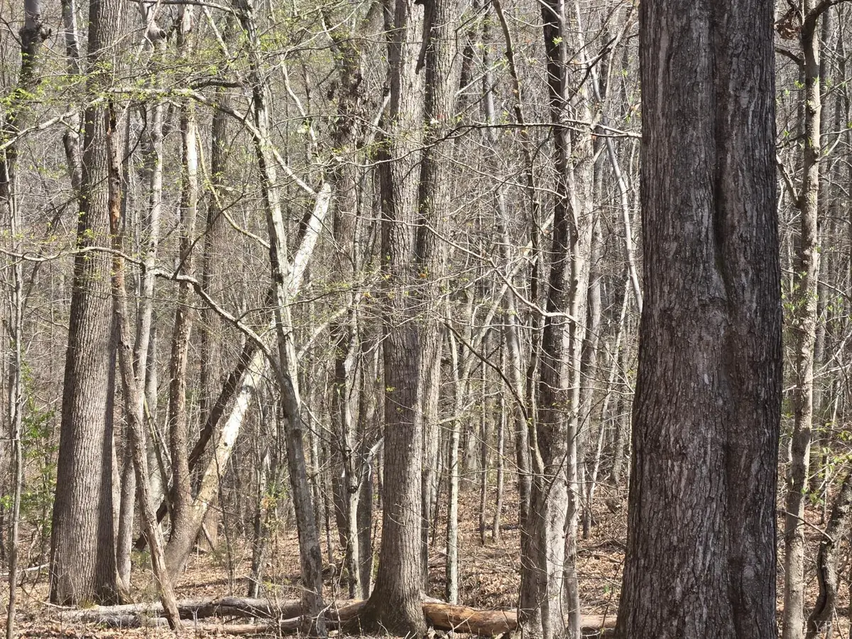 0 Equestrian Trail Road, New Canton, VA 23123 - #1