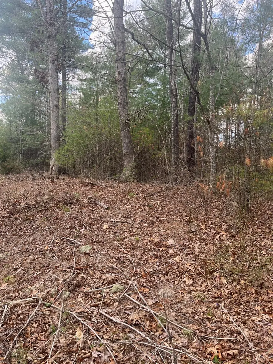 0 Blue Ridge Lane, Monroe, VA 24574 - #3