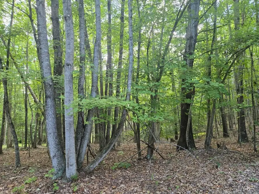 906 Equestrian Trail Road, New Canton, VA 23123 - #2