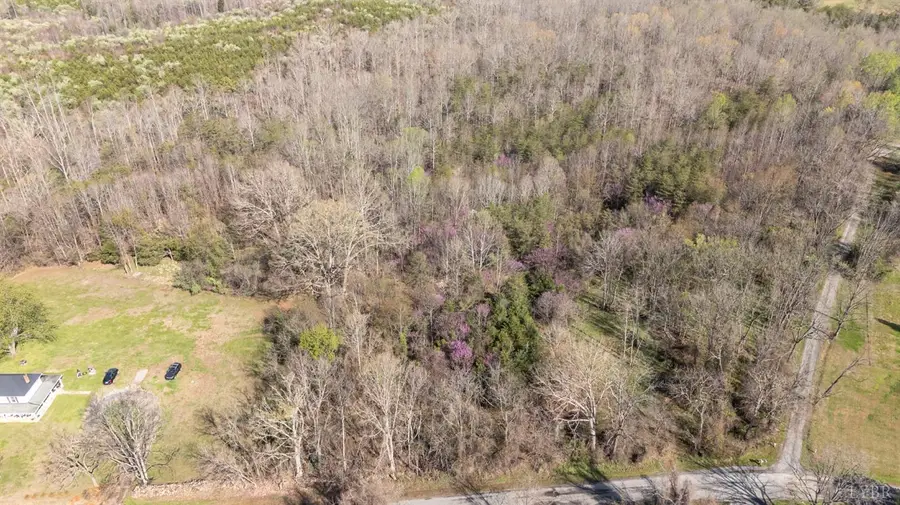 0 Goggin Ford Road, Bedford, VA 24523 - #2