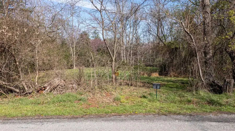 0 Goggin Ford Road, Bedford, VA 24523 - #3