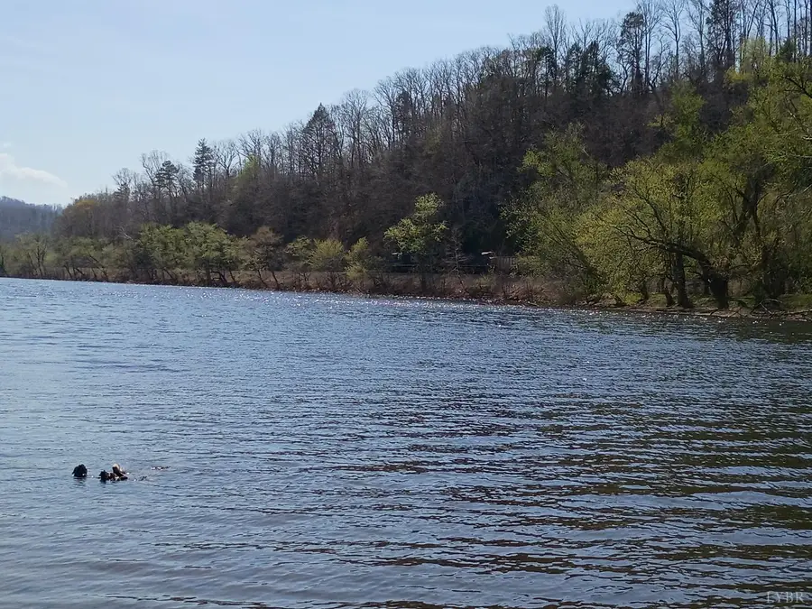 0 Wilderness Creek Rd., Monroe, VA 24574 - #2