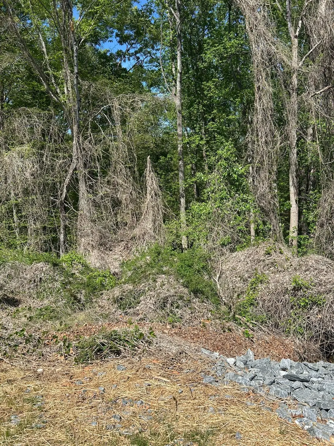 20 Deborah Drive, Lynchburg, VA 24502 - #1