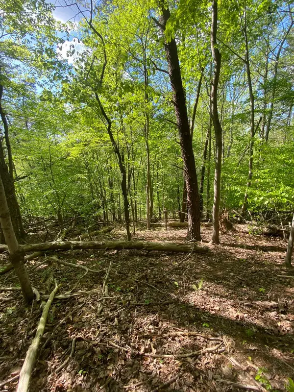 0 Misty Mountain Road, Lynch Station, VA 24571