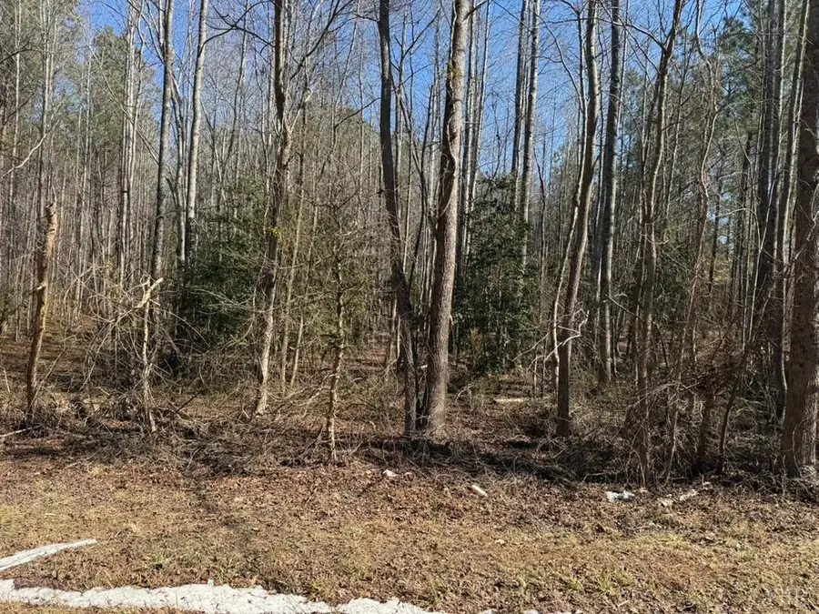 0 Sturgeon Road, Dolphin, VA 23843 - #3