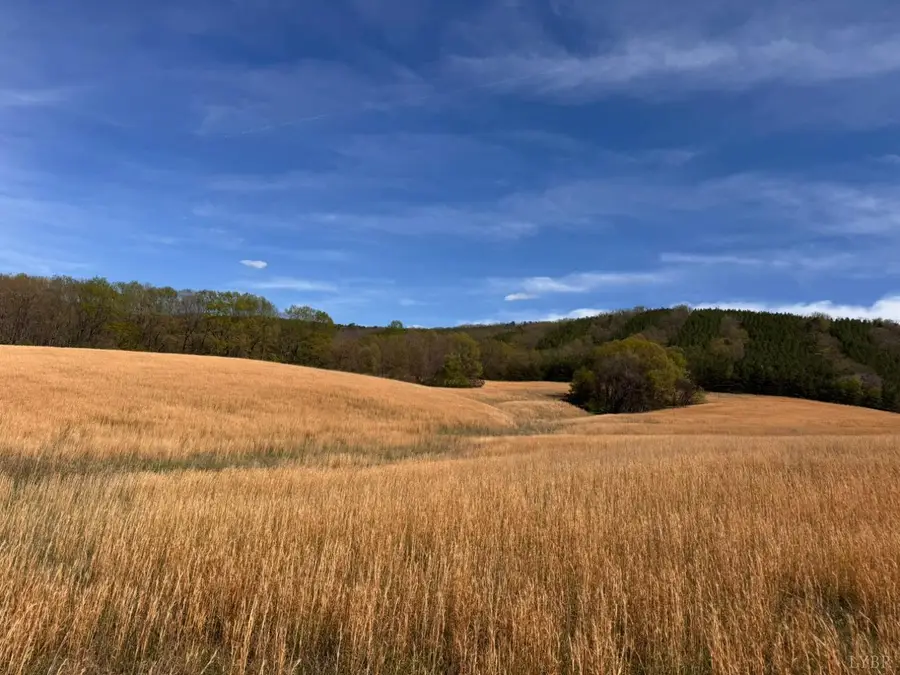 0 Cricket Lane, Rustburg, VA 24588 - #2